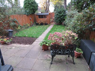 Picture 11